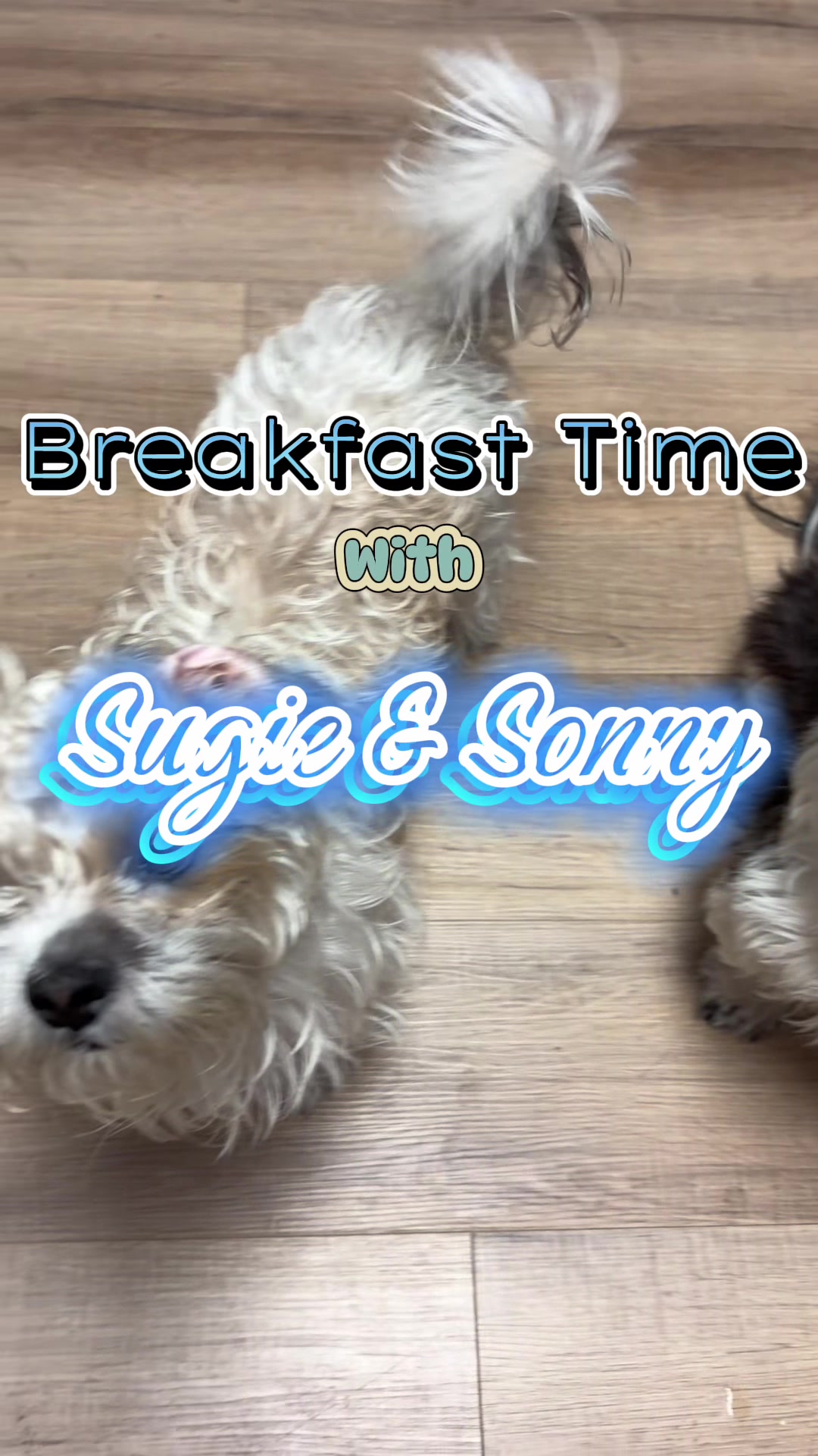 @livinlifewithsugieandsonny