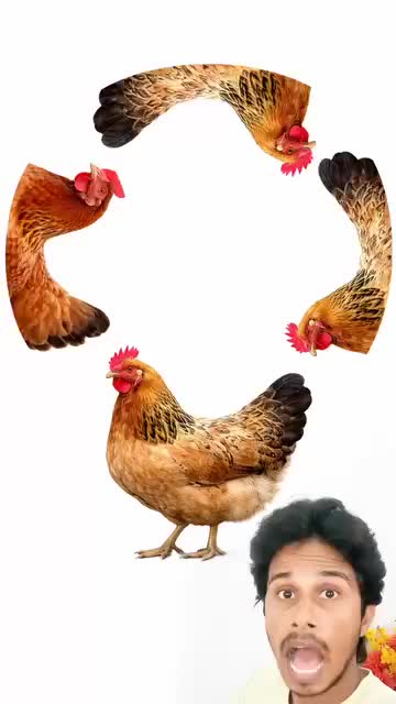 @HARDIK PANDYA