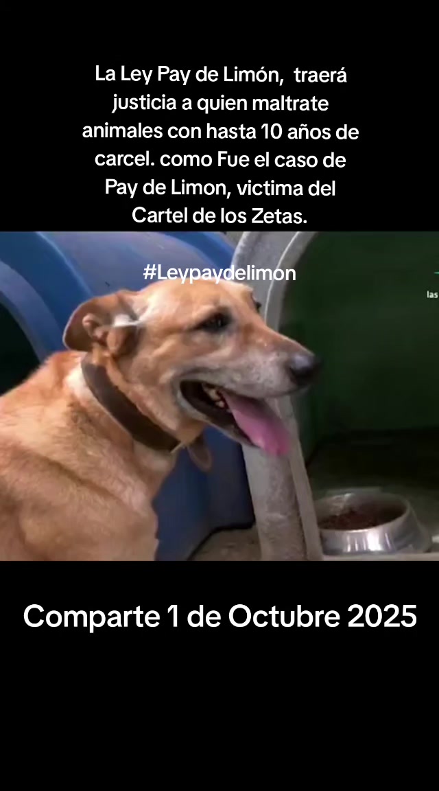 @ValtoGamer