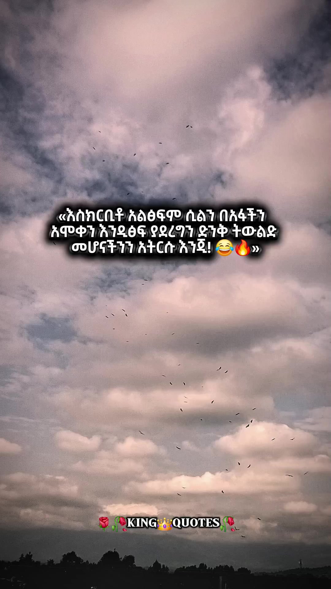 @🌹🌾king👑 quote's 🥀🥀
