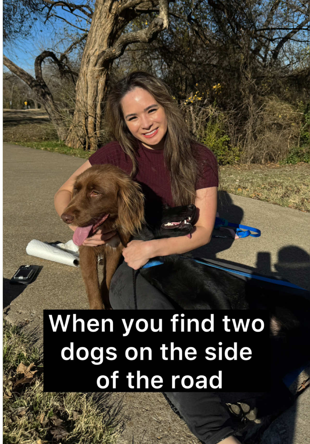 @whitneysdogs