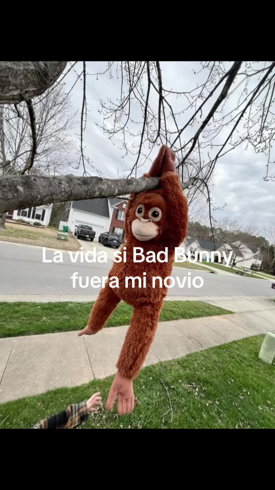 @Badbo