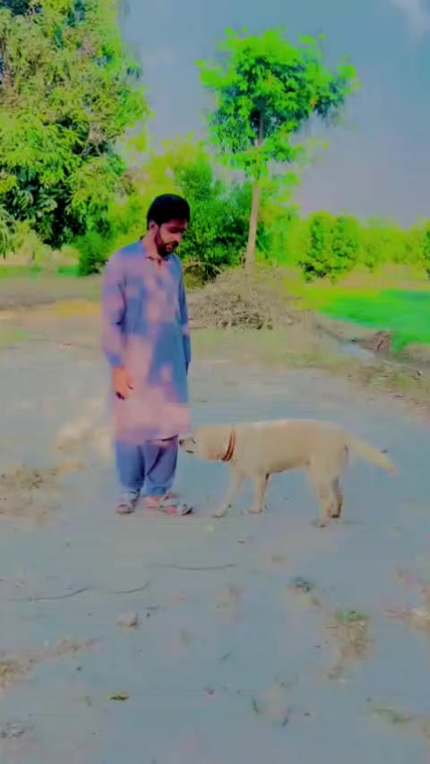 @Badmash gujjar group