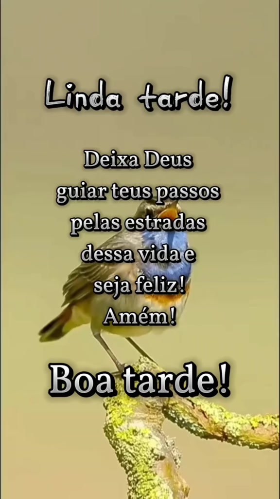 @Pedro_Paulo.oficial