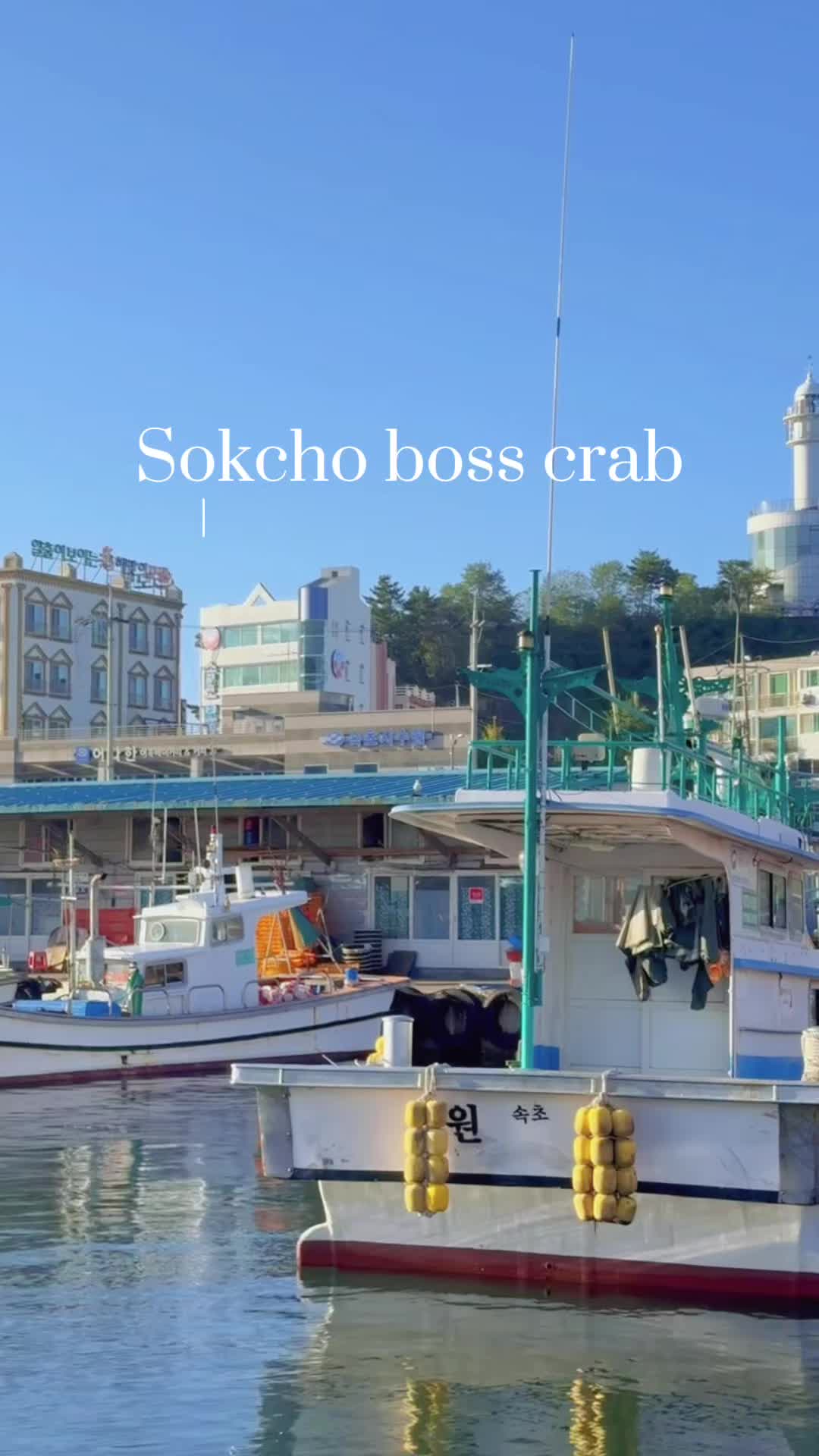 @삼척보스대게본점