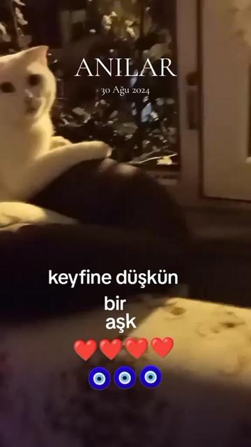 @🦂🖤Deniz yıldızı🖤🦂
