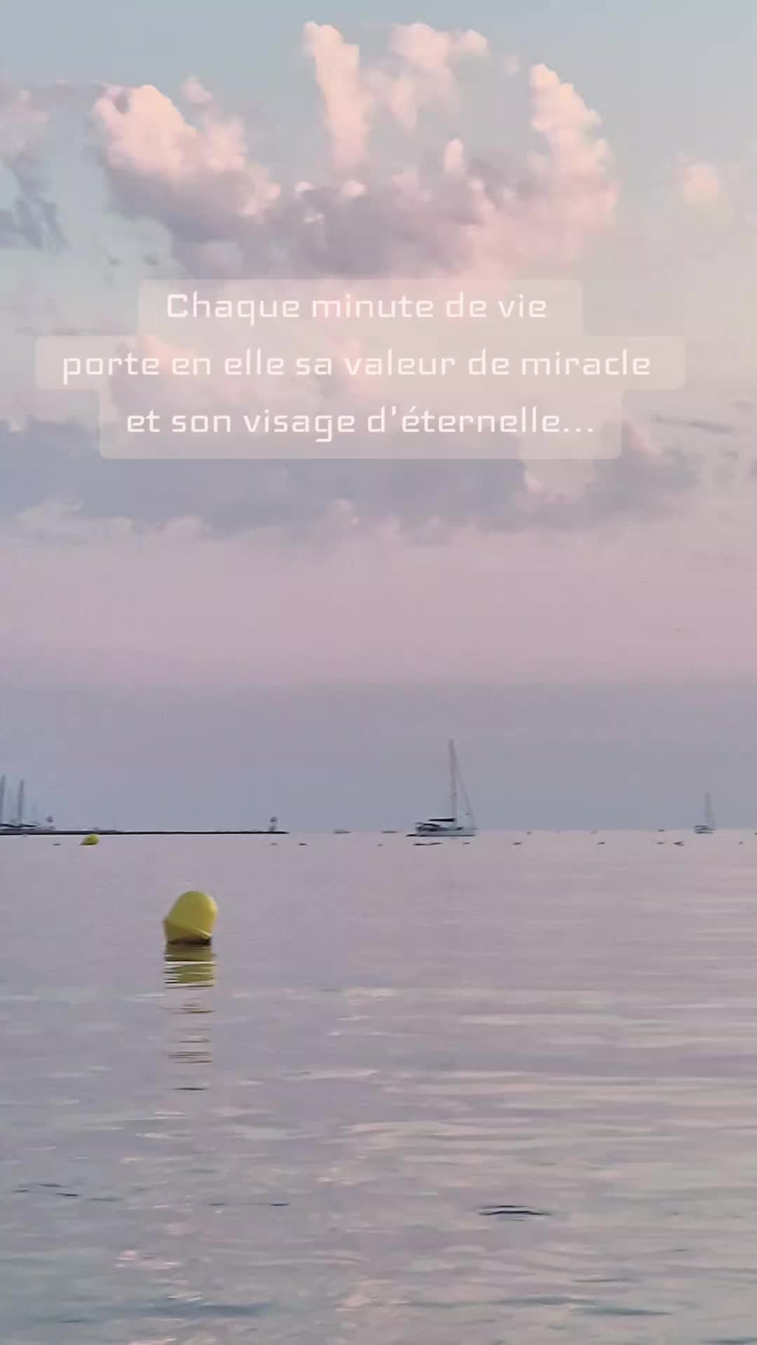 @Rose et Armure