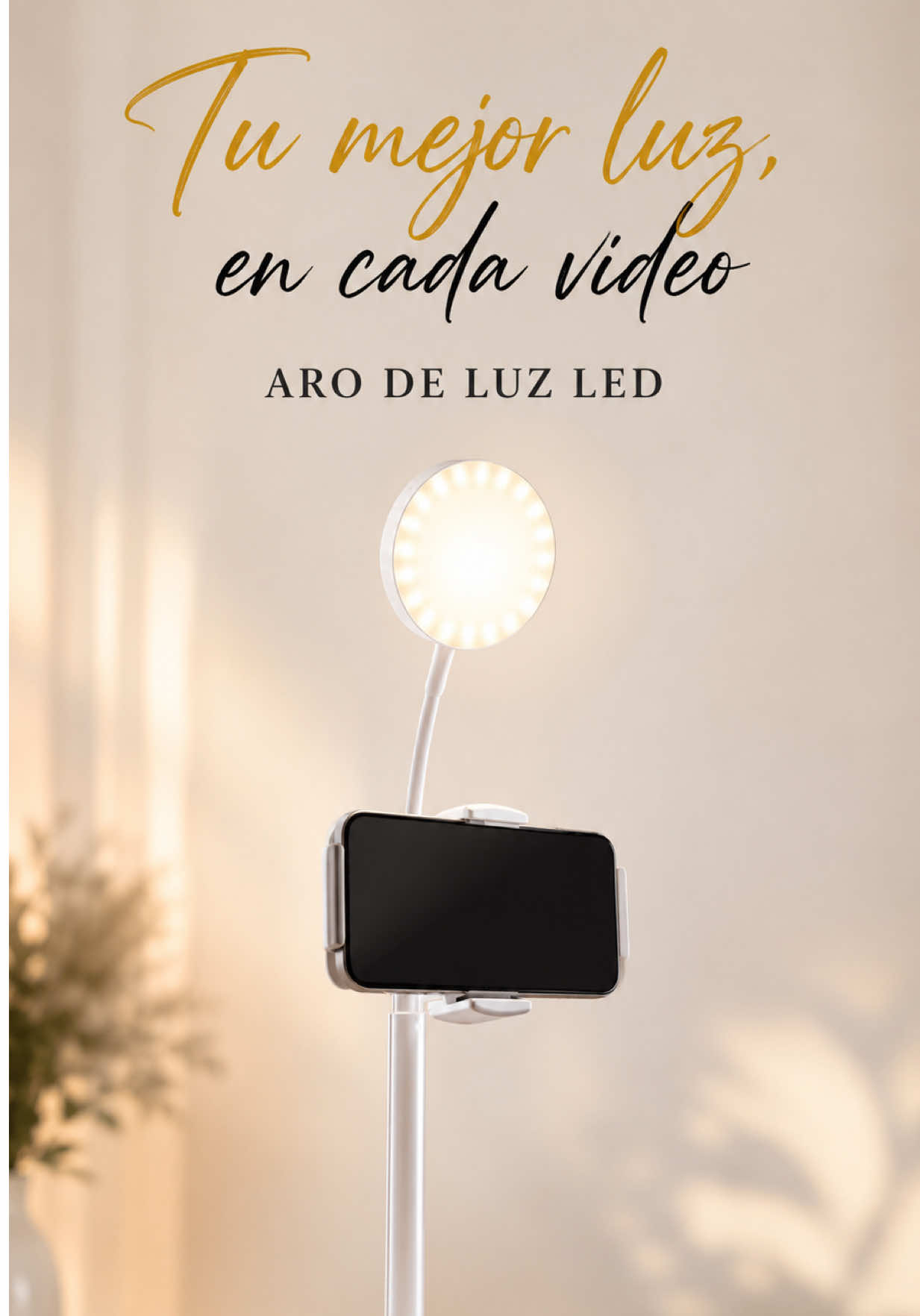@lalishop