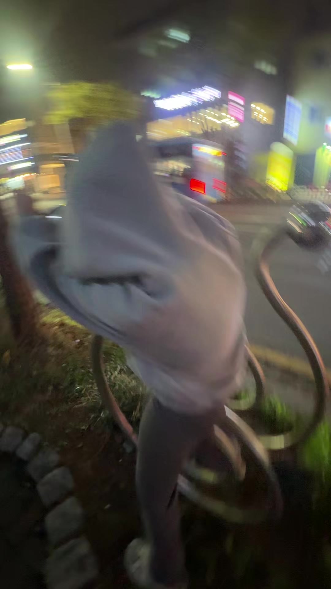 @수원전관호탄핵해라,전설의마계백호랑이