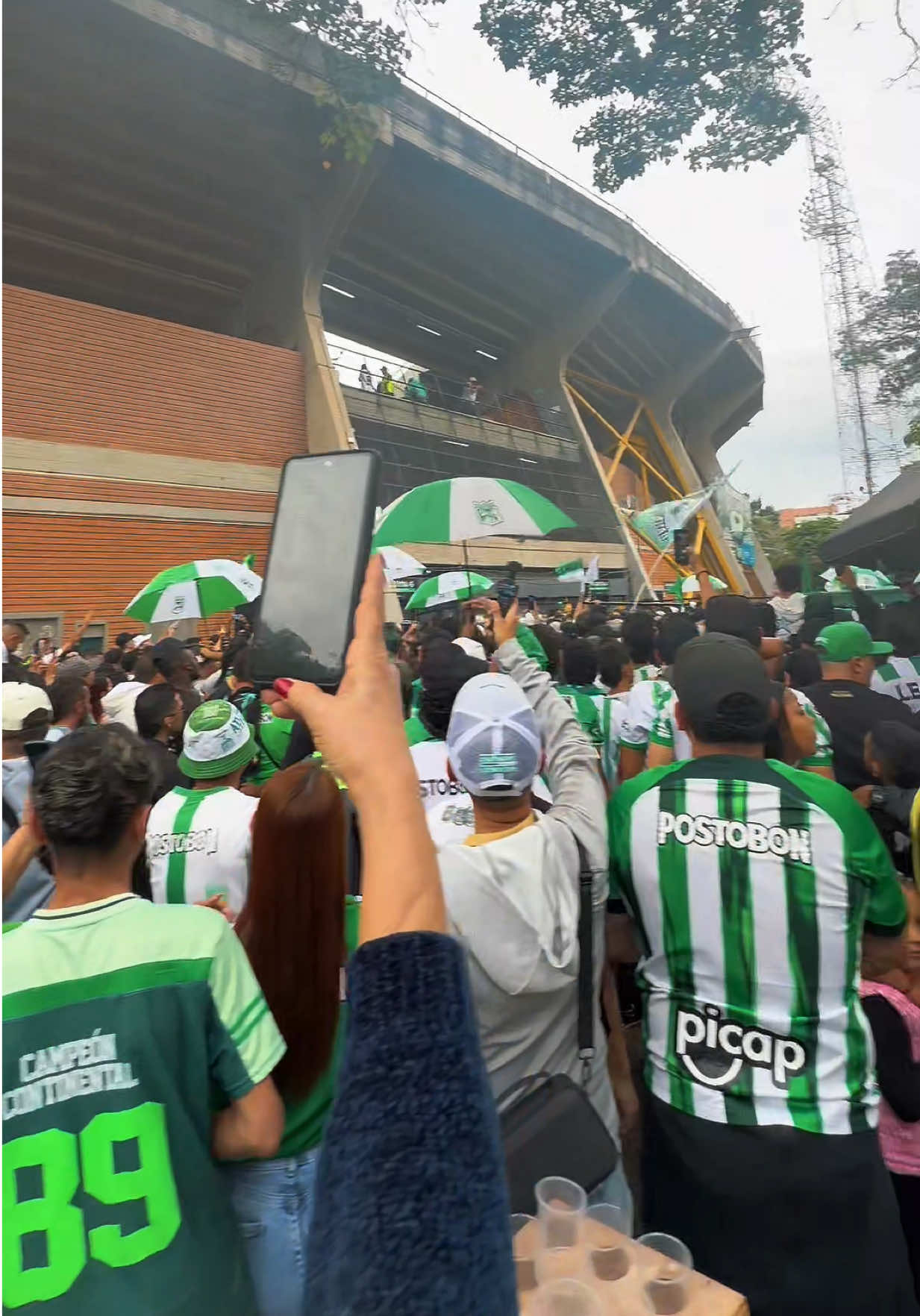 @NOTICIAS DEL VERDE