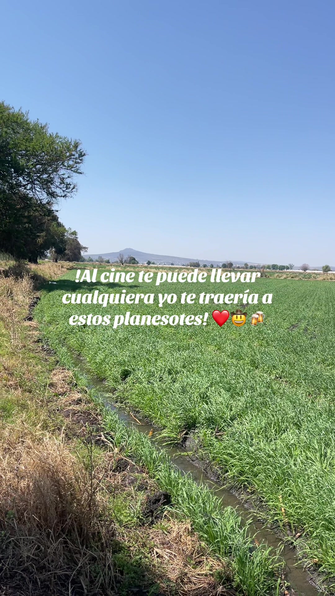 @Pablo Do&ntilde;ate 🤠
