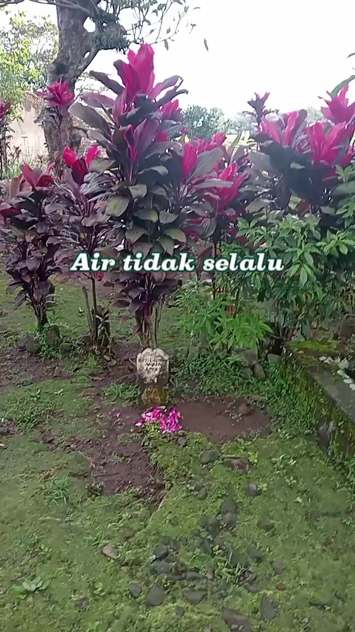 @tajek jay