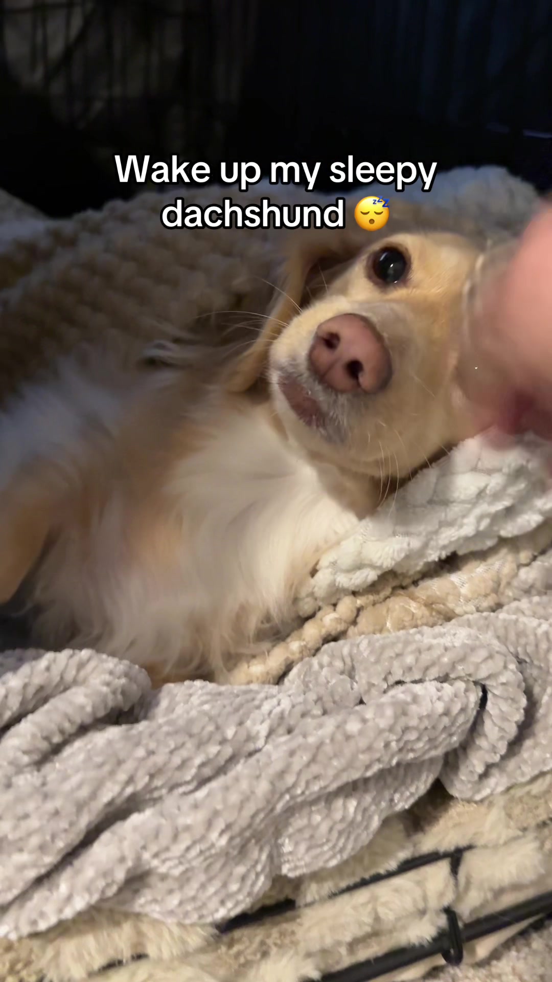@Billiebeantheween