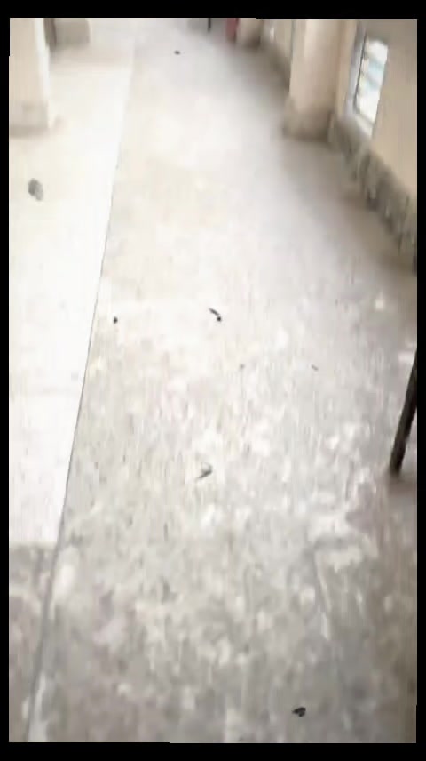 @⏤͟͟͞͞★𝐍𝐎𝐃𝐈 🕊️.⋆