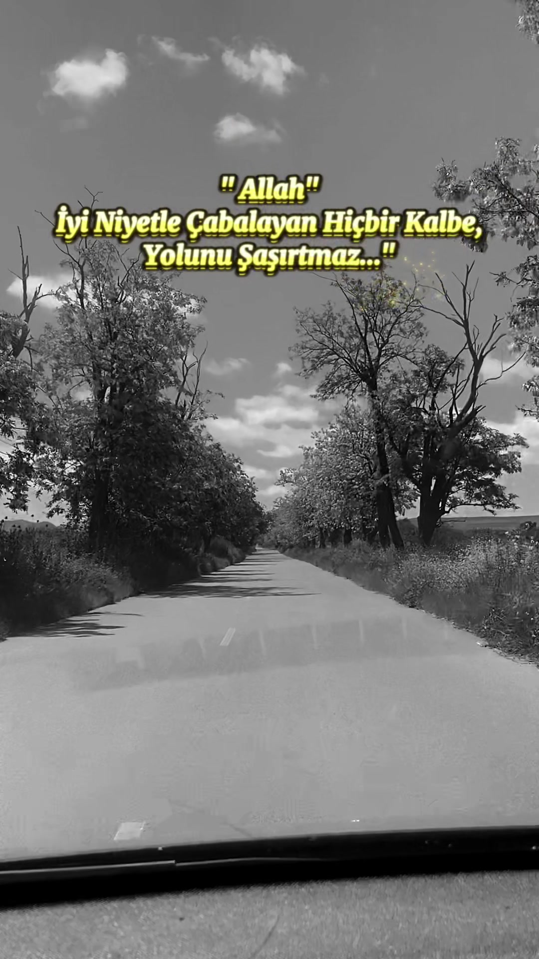 @Mikayıl