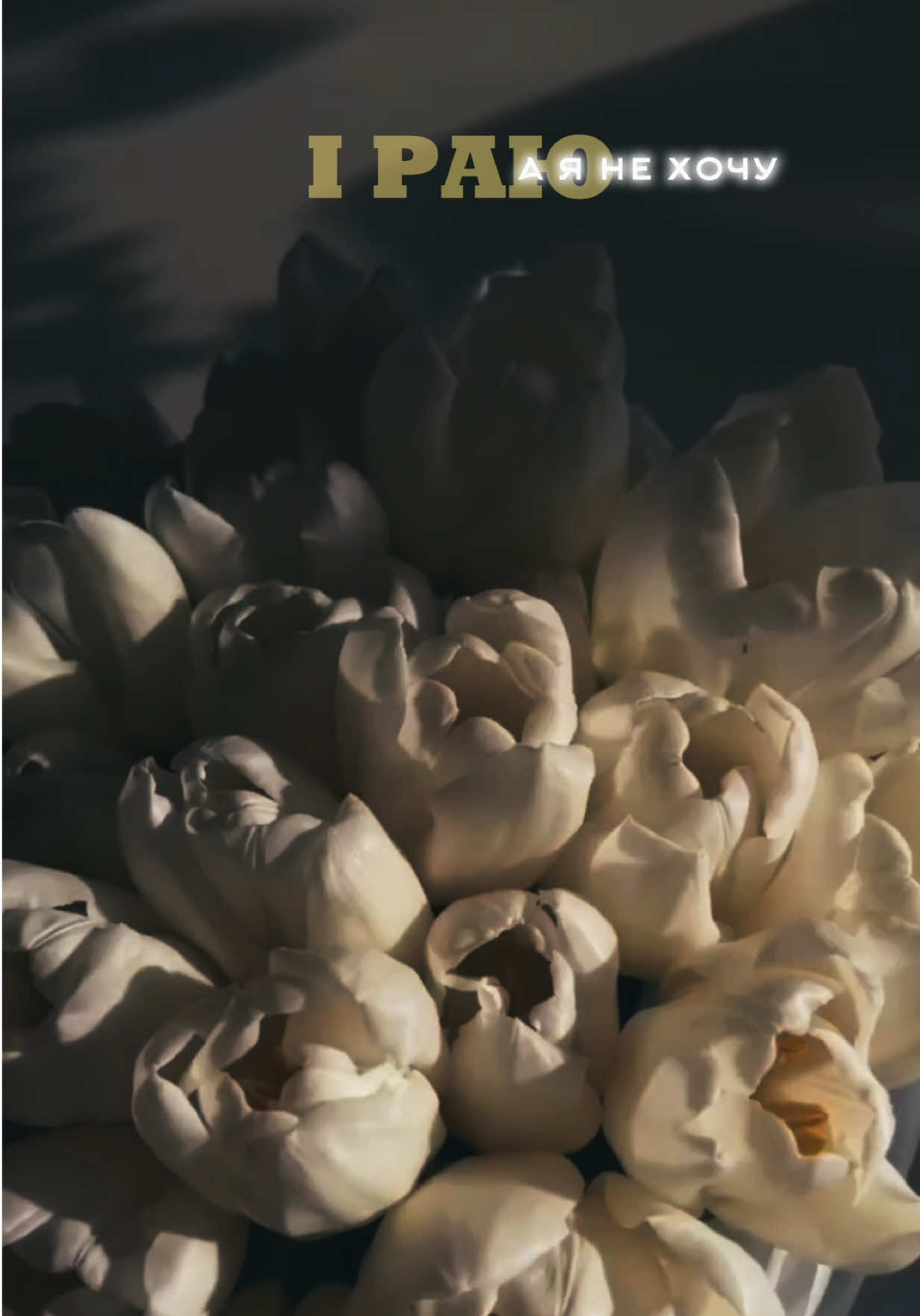 @ғᴏʀ ᴛʜᴇ sᴏᴜʟ