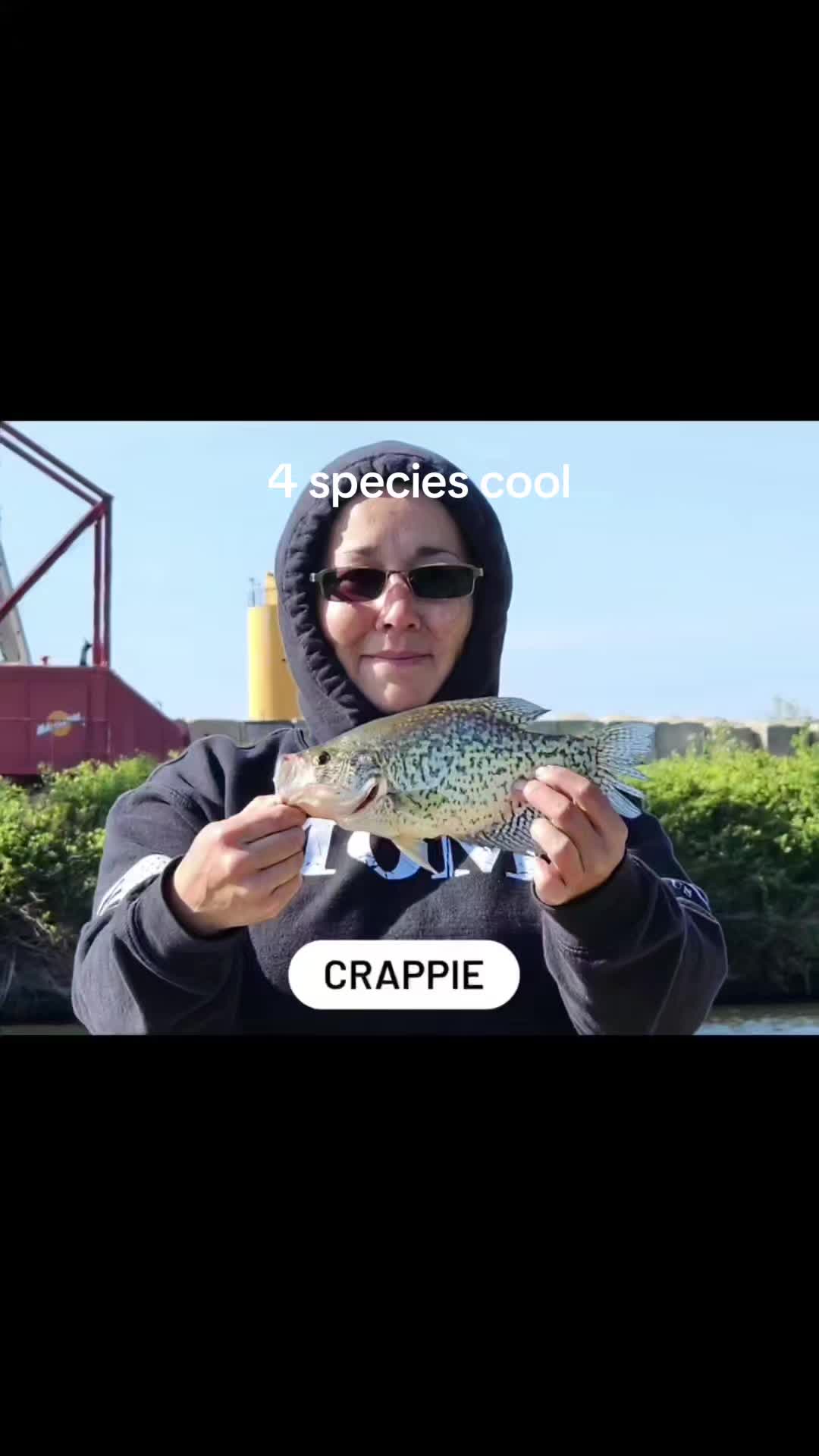 @FishinSinDerElla