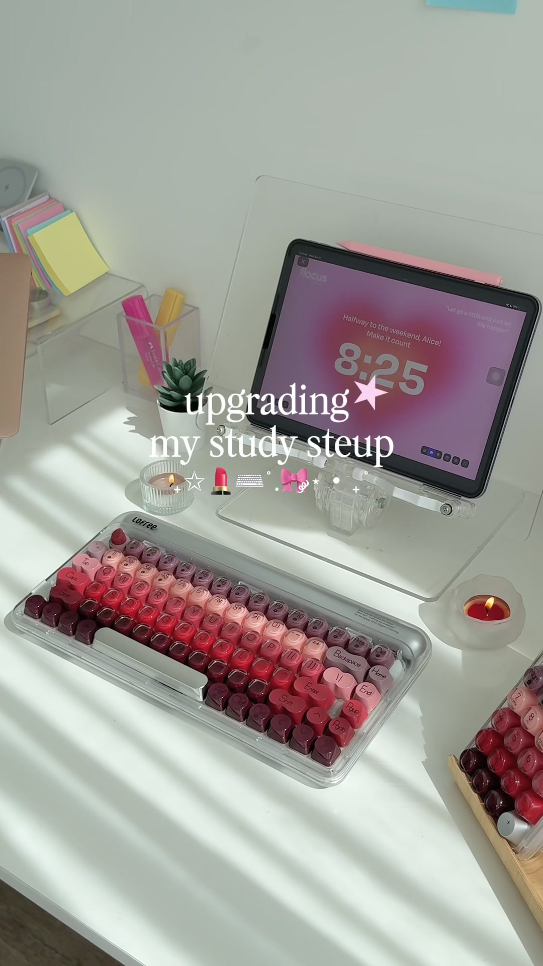 @Alice | study & tech 🧸