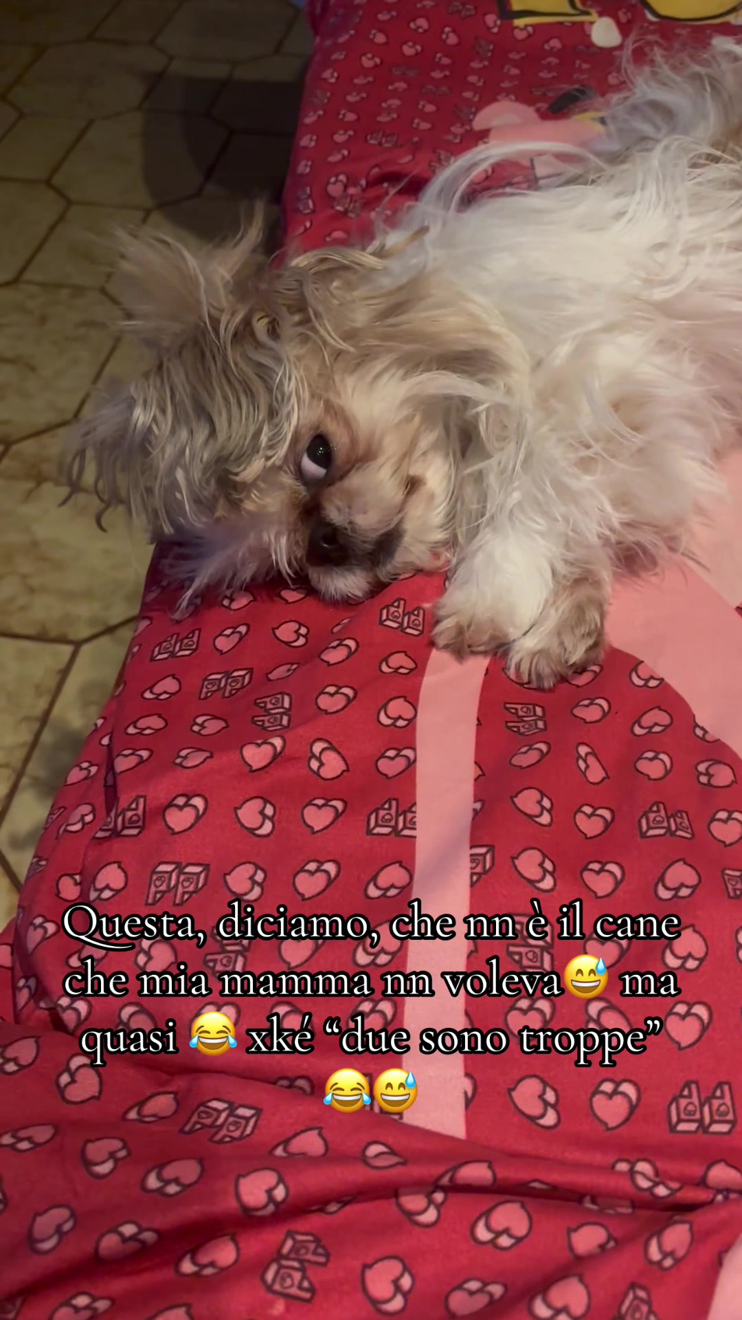 @barbymarco76