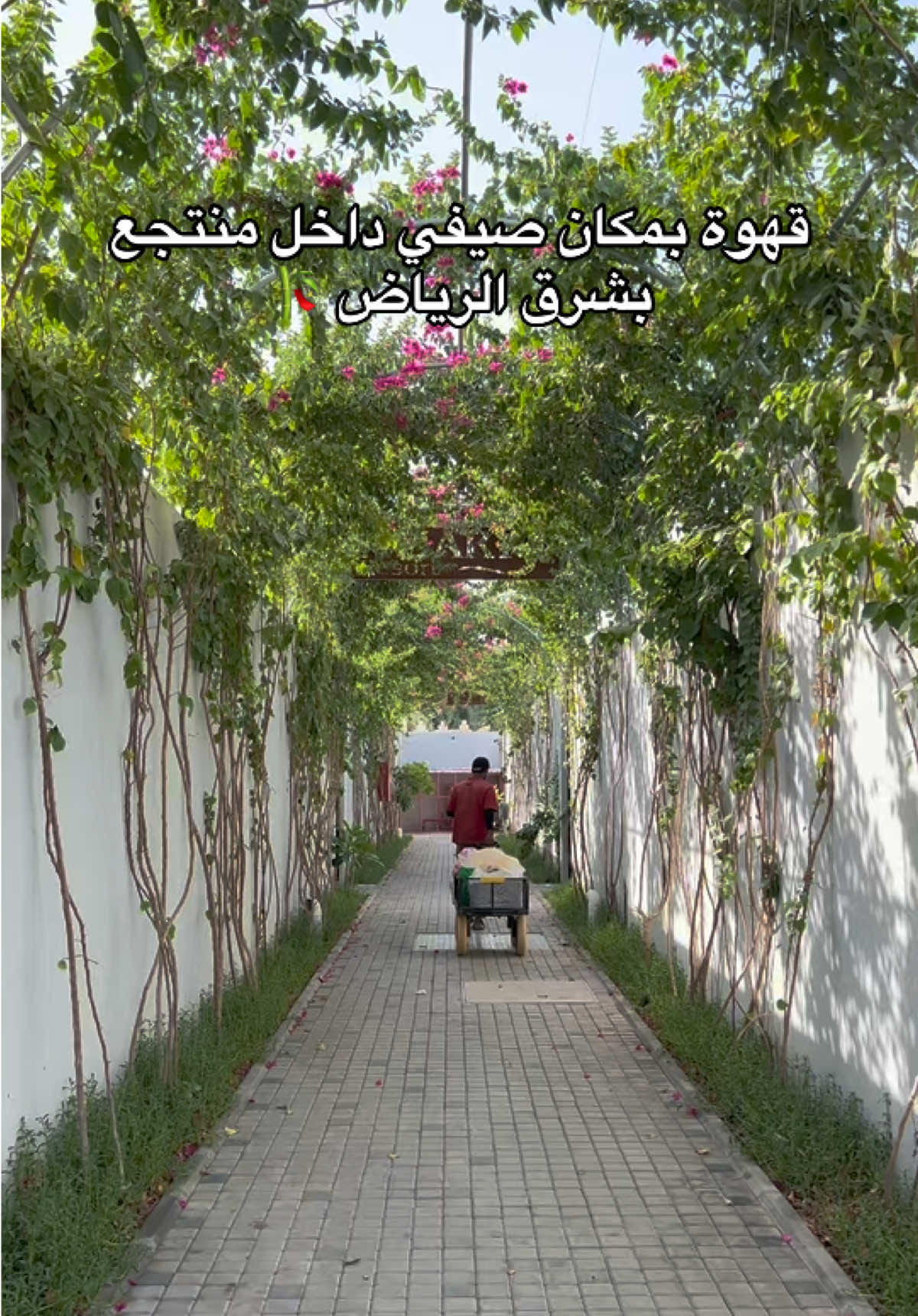 @NR | صدى الرياض