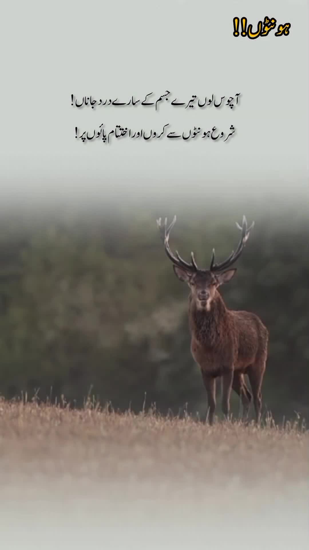 @درد دل