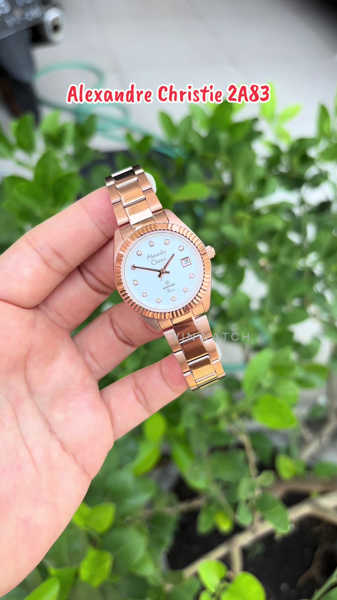 @vinwatch