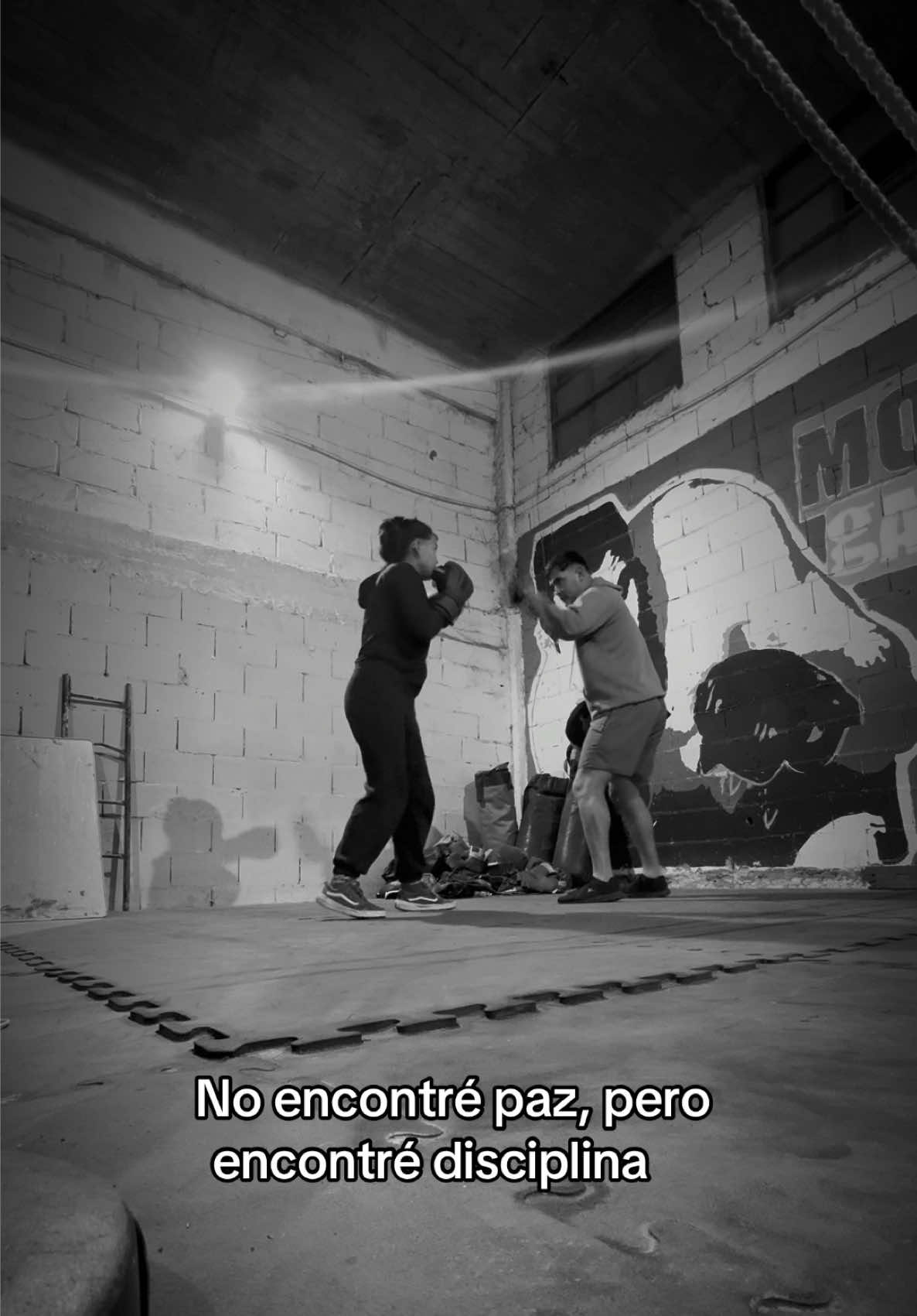 @agustinacardoso7