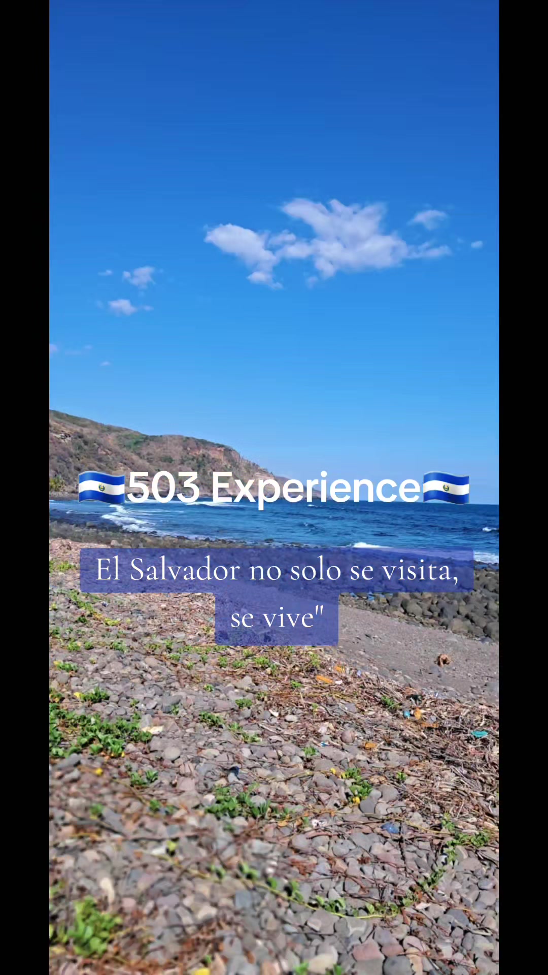@Rosy Sandoval