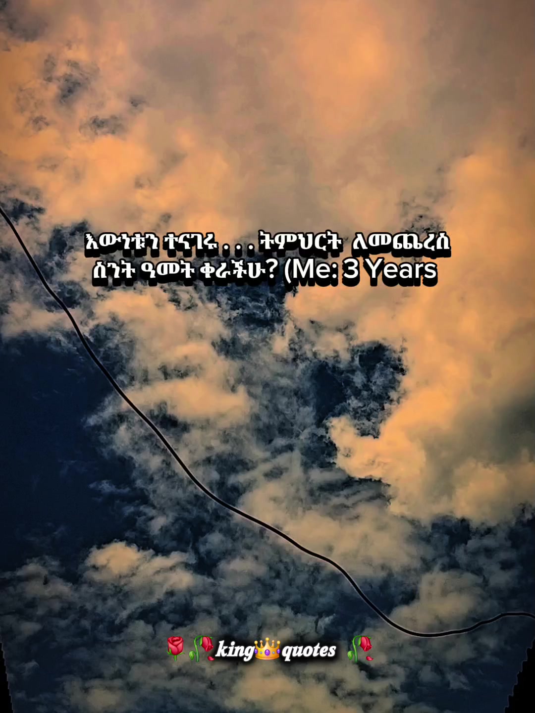 @🌹🌾king👑 quote's 🥀🥀