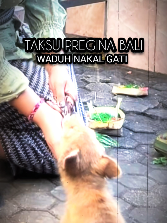 @TAKSU PREGINA BALI