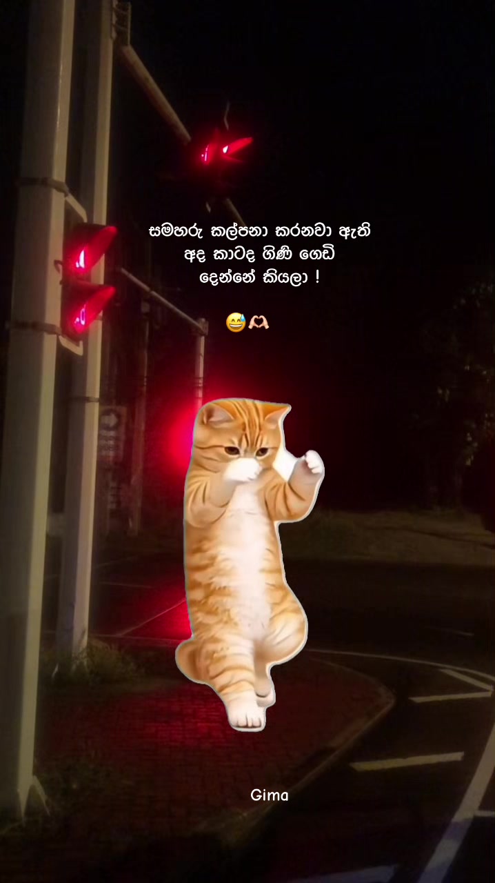 @gimhani212 🧿🪬( 💞ギマ💞 )