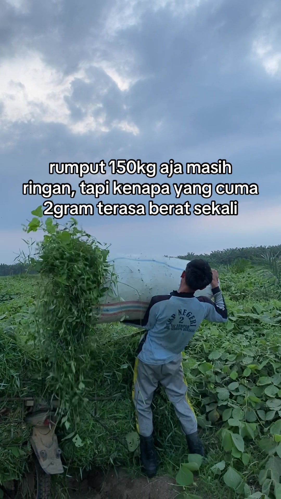 @ngaritboy