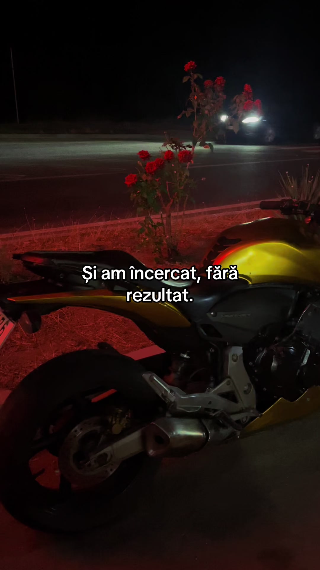 @Panda_rr