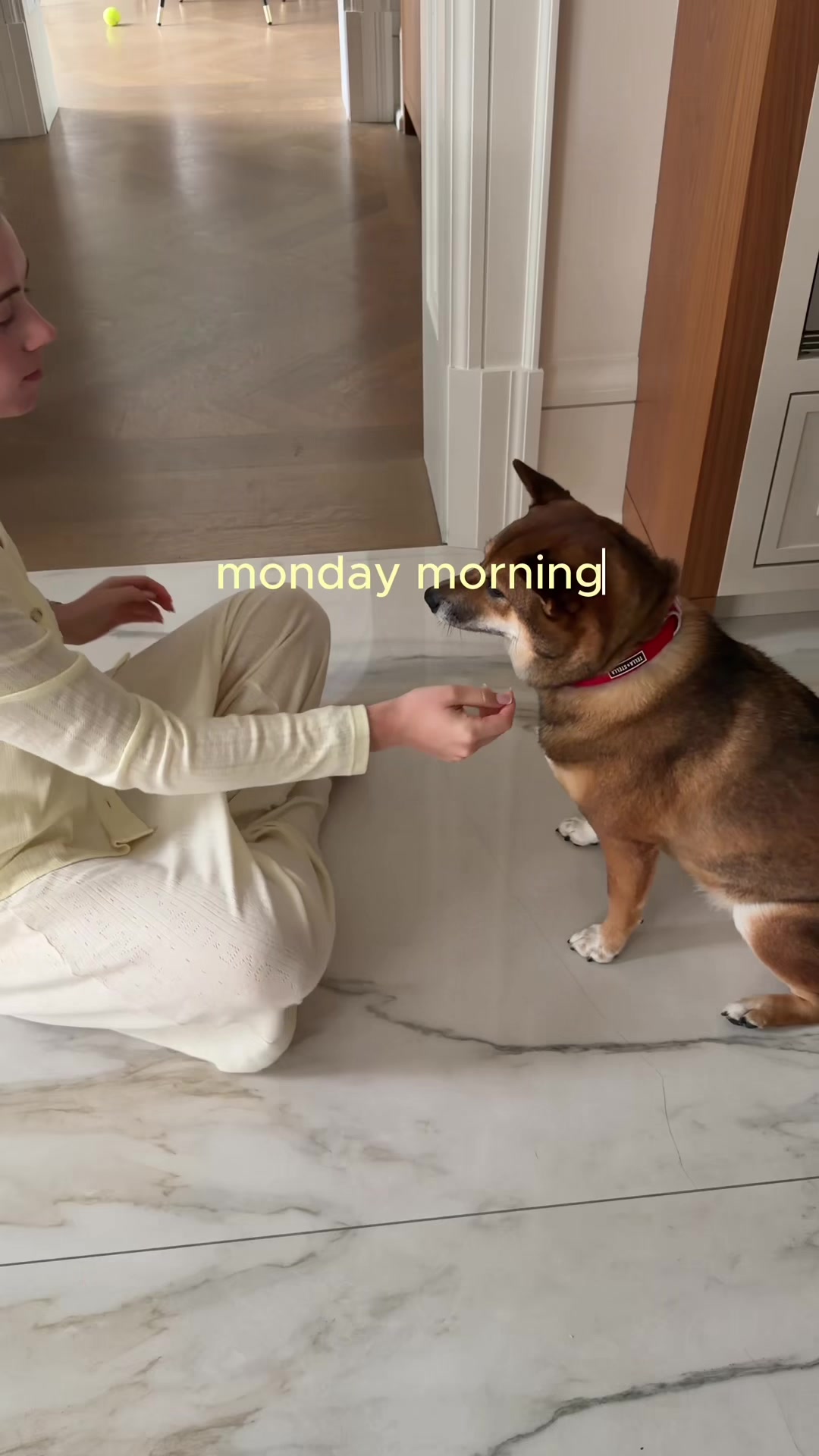 @bee