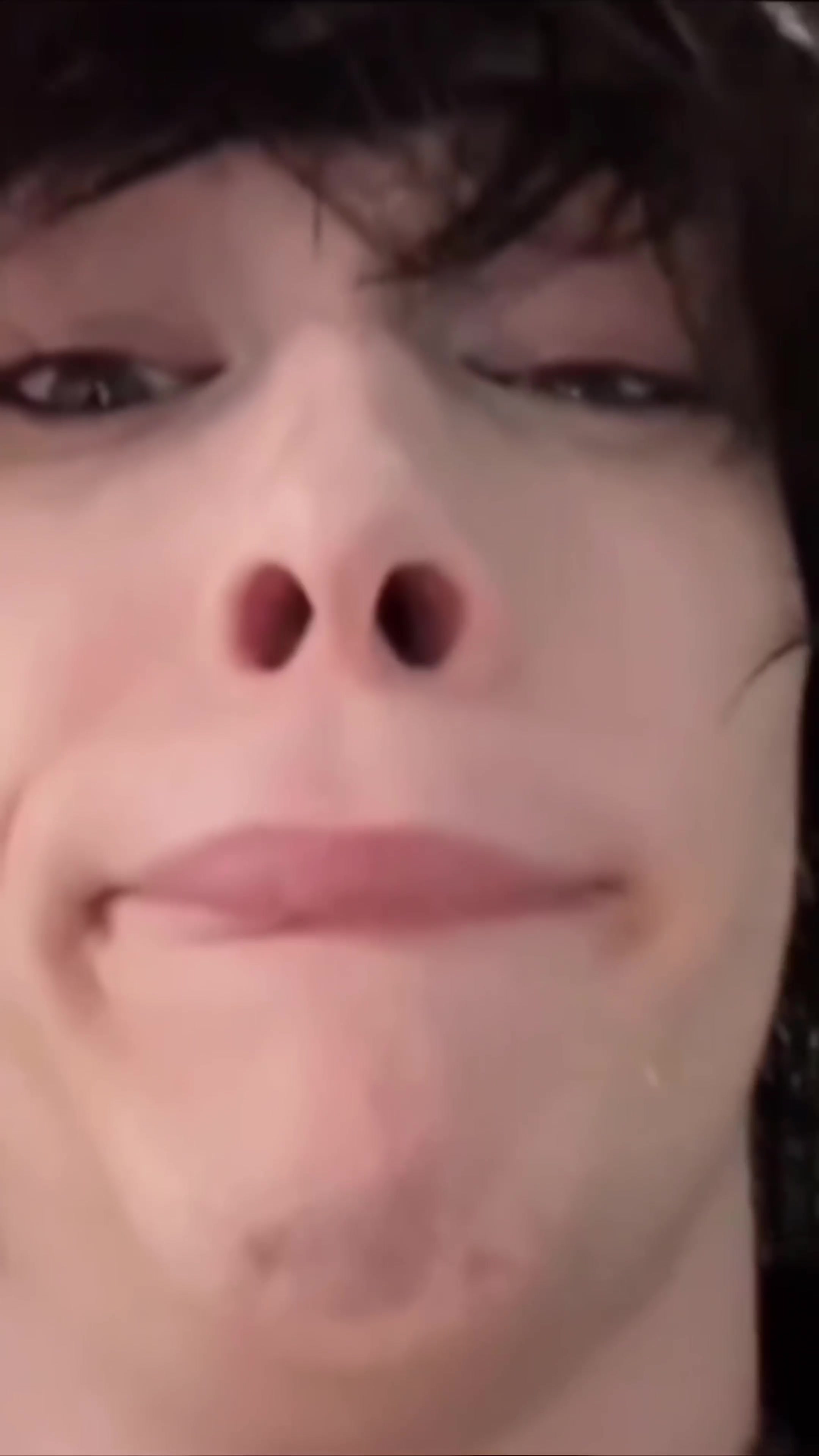 @hogdog