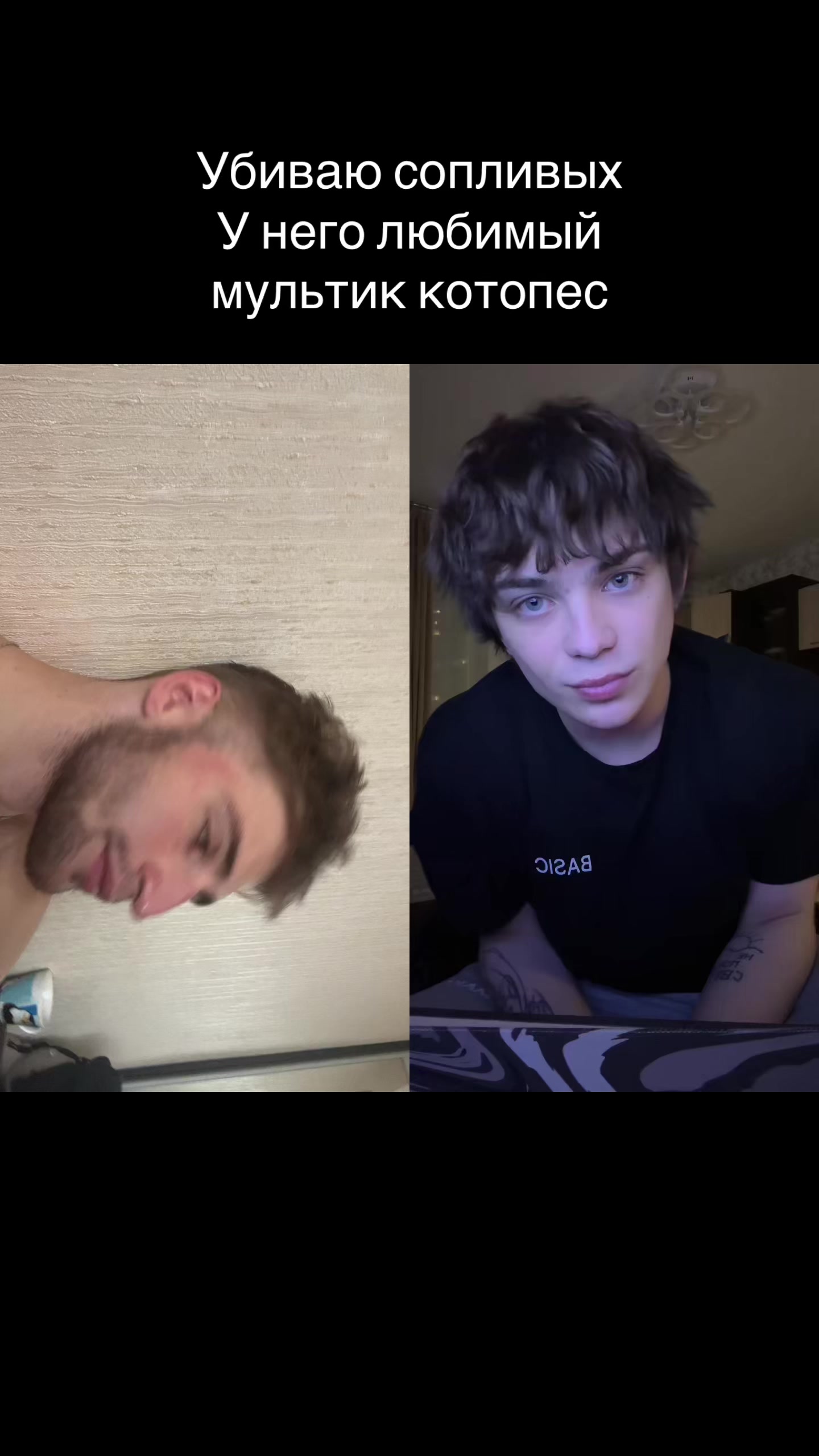 @Birbito400iq