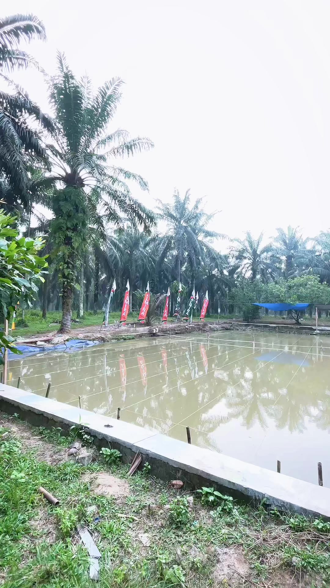 @Dinidwihartatantii