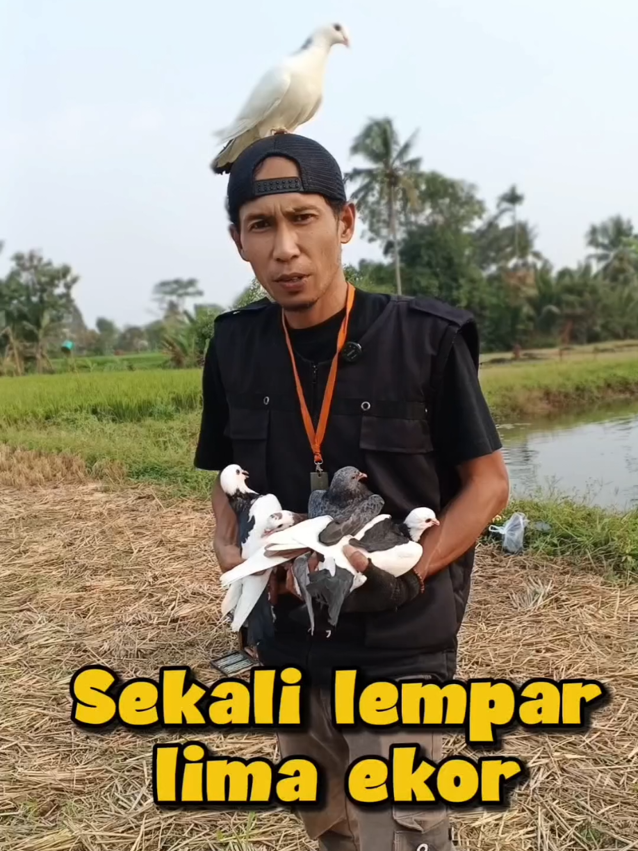 @BANG LEYON