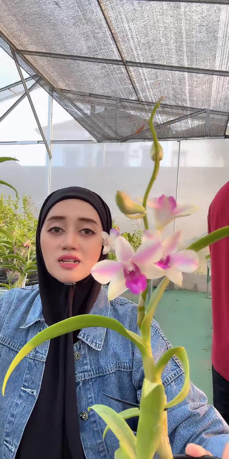 @Anggina Orchid