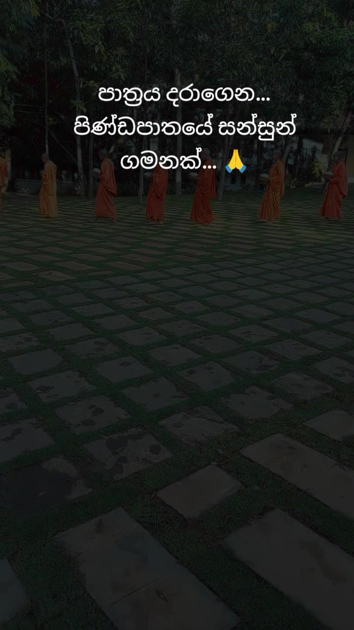 @සබ්බ දානං ධම්ම දානං ජිනාති