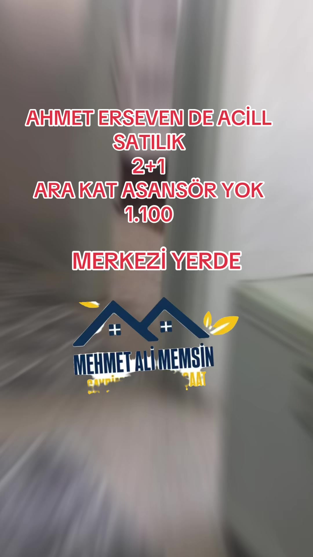 @Mehmet Ali Memsin