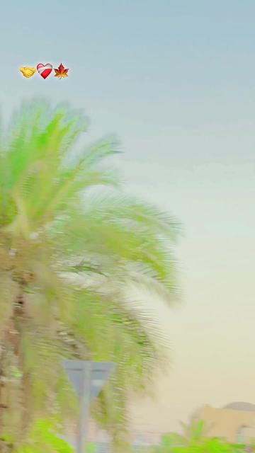 @🦅موہانہ🔥