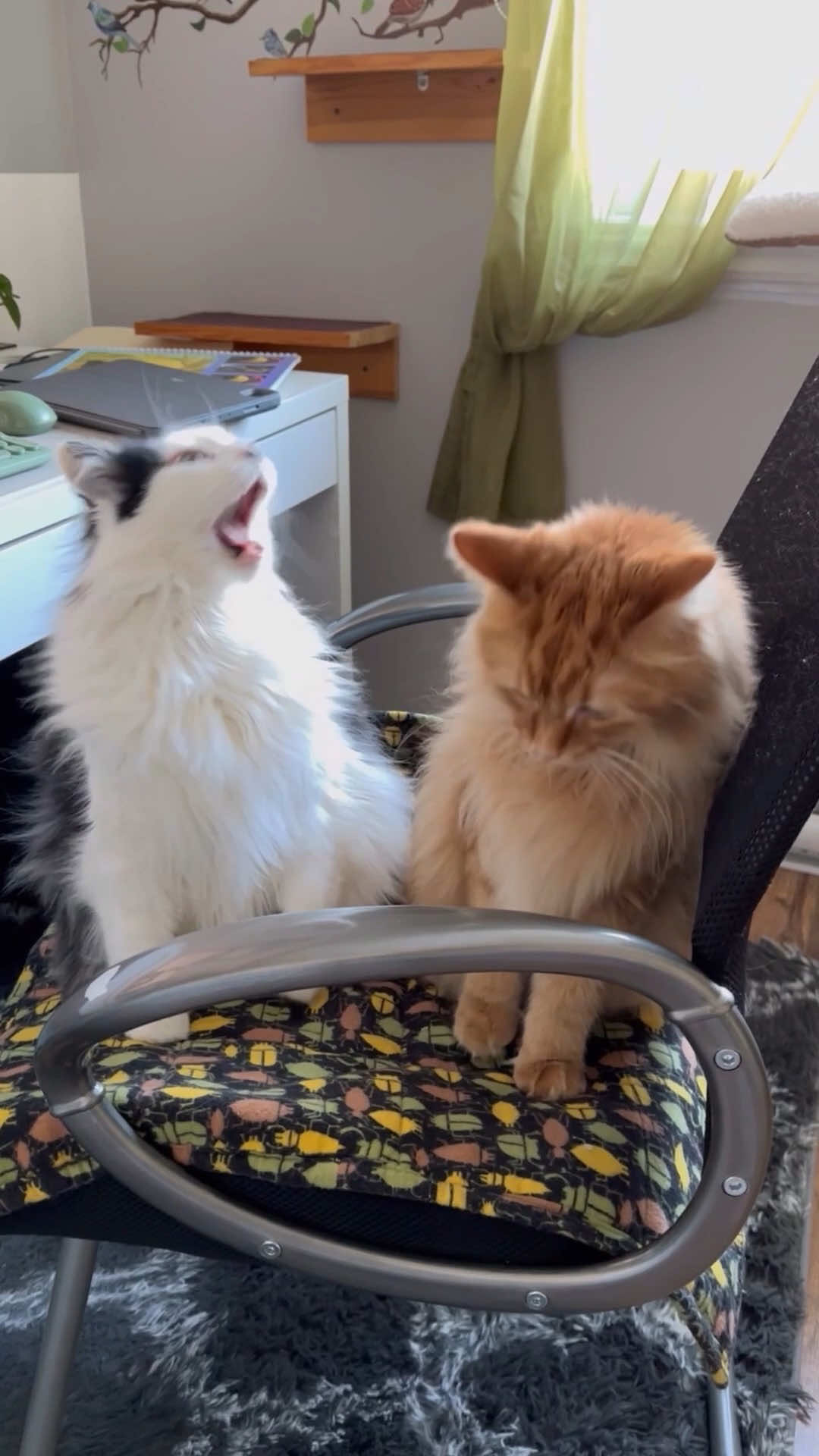@The Oreo Cat