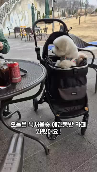 @꼬똥로리
