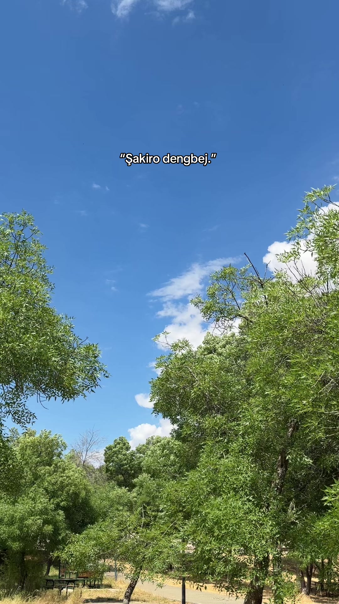 @𝓞𝓷𝓼𝓮𝓴𝓲𝔃𝓪𝓻𝓪𝓵ı𝓴