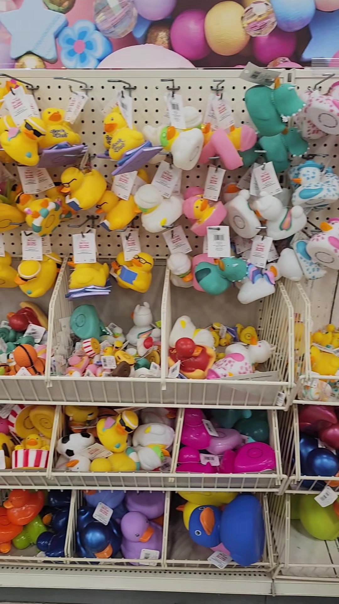 @Lord of the Ducks