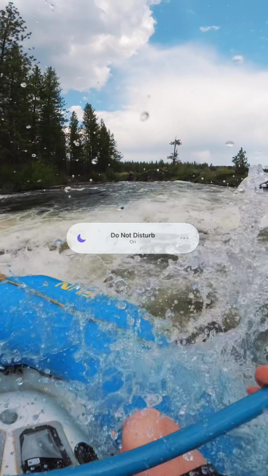 @mt.bachelor