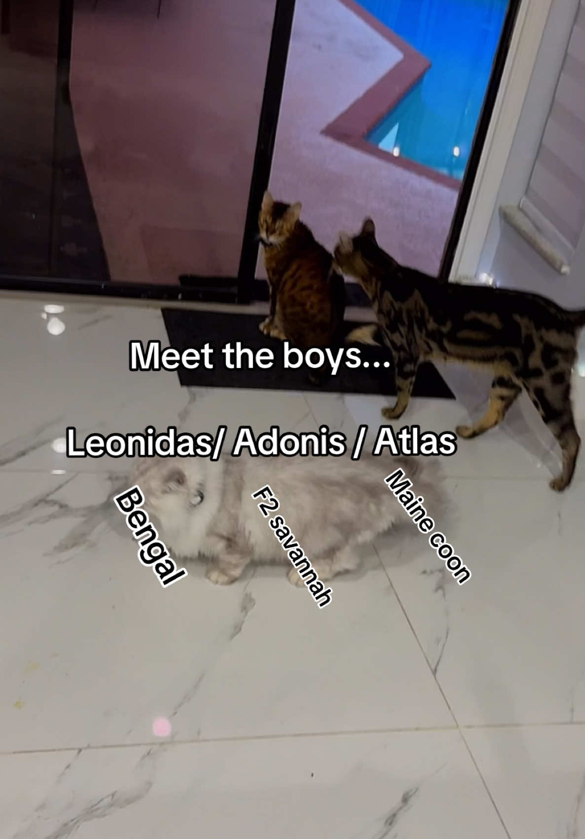 @Daddyhop01