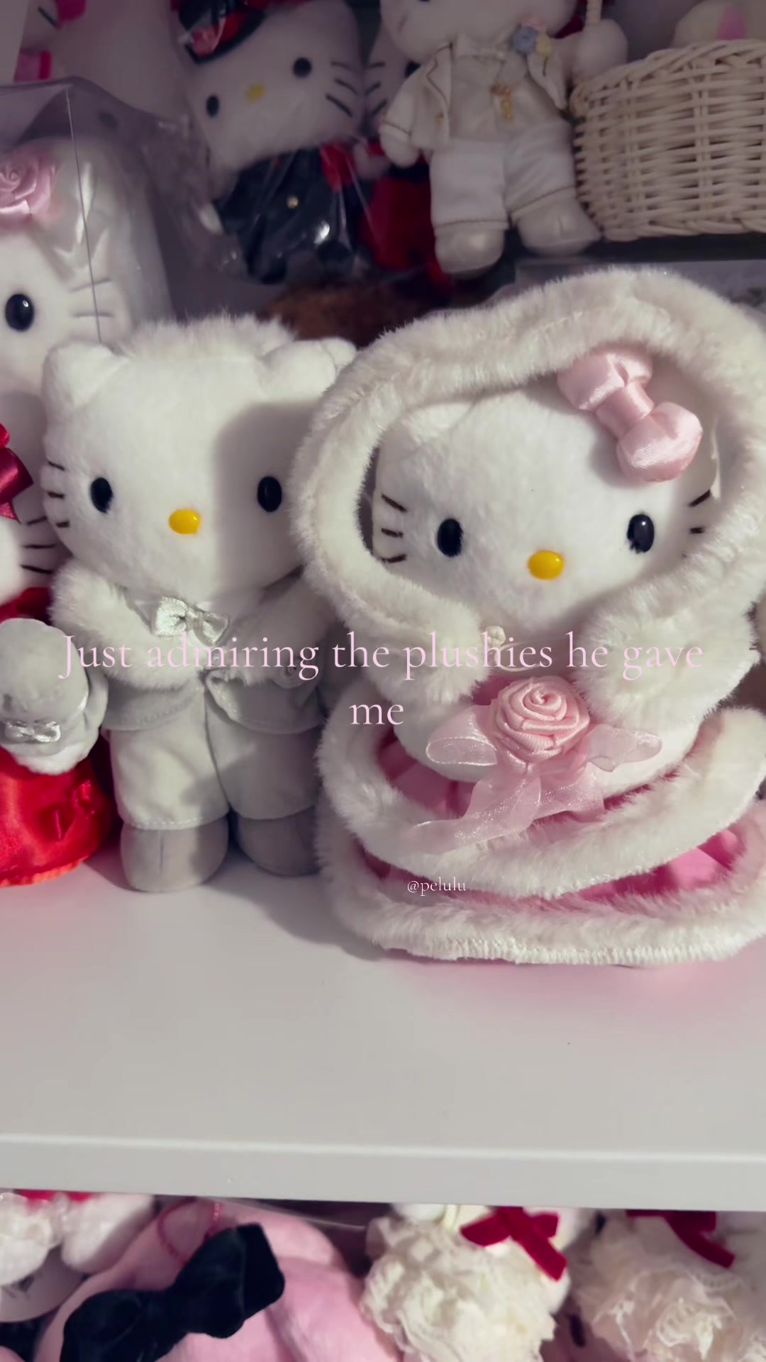 @Pelulu💗