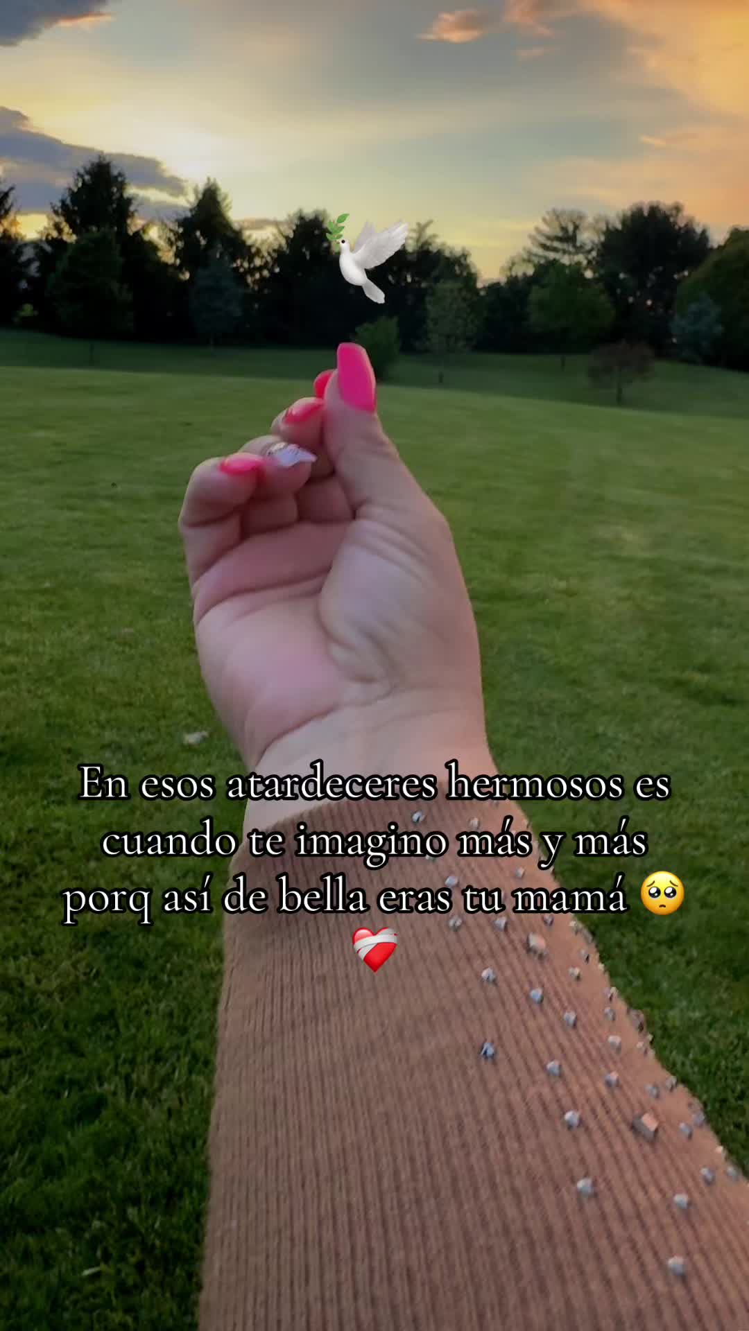 @Sara 🌸🌸🌸💋